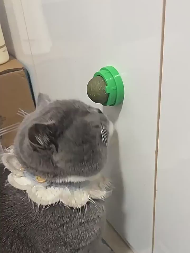 Cats 360 Rotatable Catnip Ball Wall Sucker Lick Treat Toys Catnip Sugar Balls Interactive Ball Cats Mint Toy