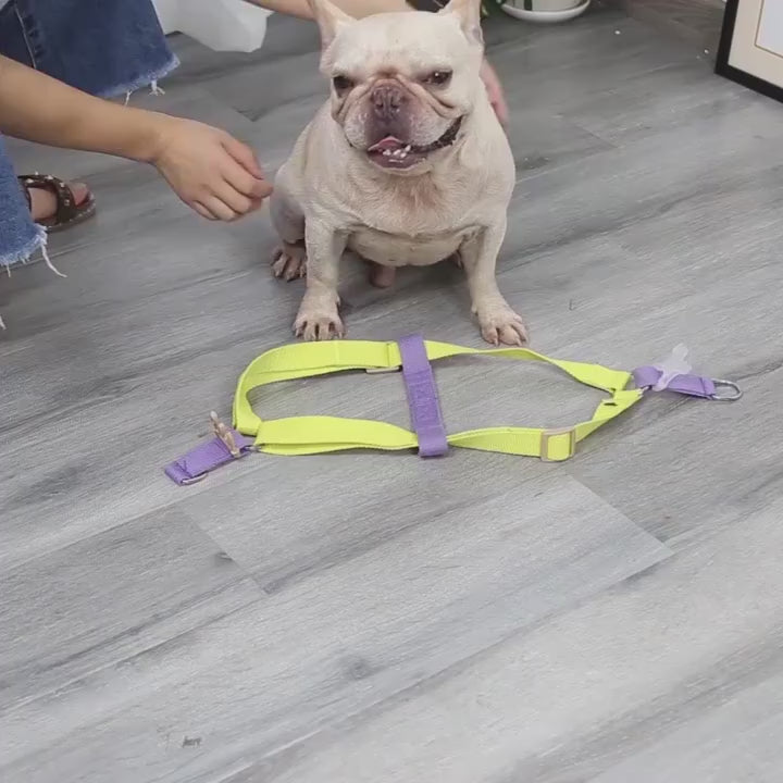 Low Price Wholesale Pet Supplies Large & Medium Dog Harness Leash Cotton Harness