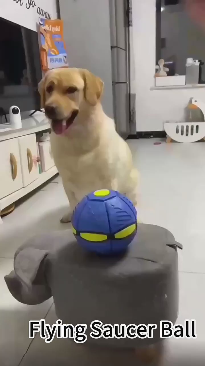 New Pet Toy Flying Ball Interactive Flying Saucer Dog Toy Portable Pet Toy Flying Saucer Ball